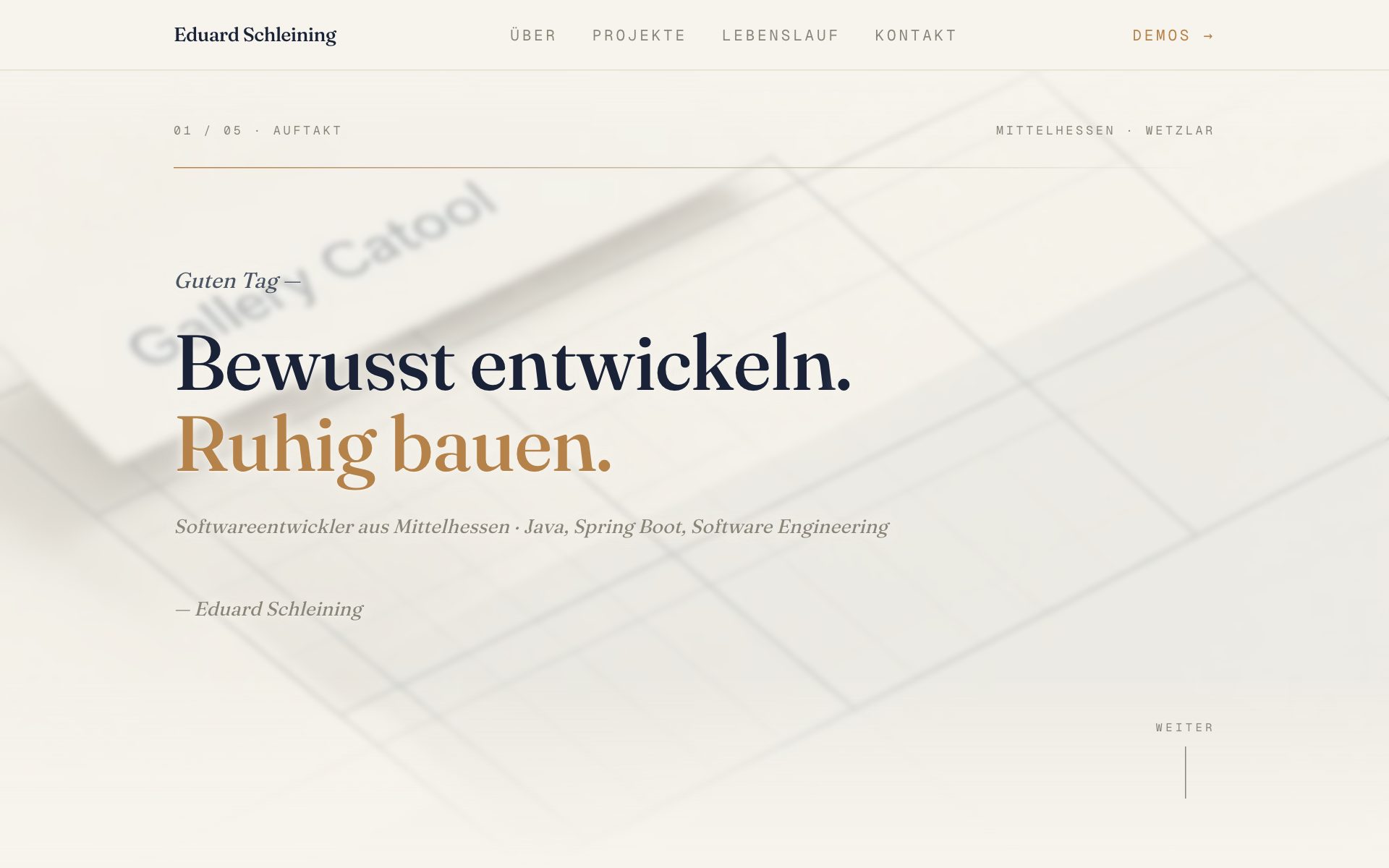 Startseite von eduard-schleining.de: Software-Engineer aus Mittelhessen
